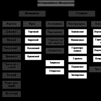 Vlastnosti holdingovej štruktúry: riešenie problematiky integrácie podniku Moderné formy podnikovej integrácie stručne